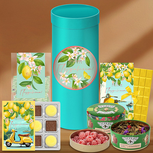 Подарочный набор: шоколад, мармелад, глазированные конфеты, чай 380г